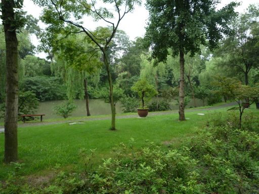 モンリーの上海奮闘記