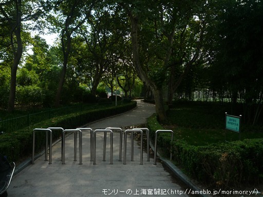 モンリーの上海奮闘記