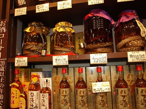 モンリーの上海奮闘記